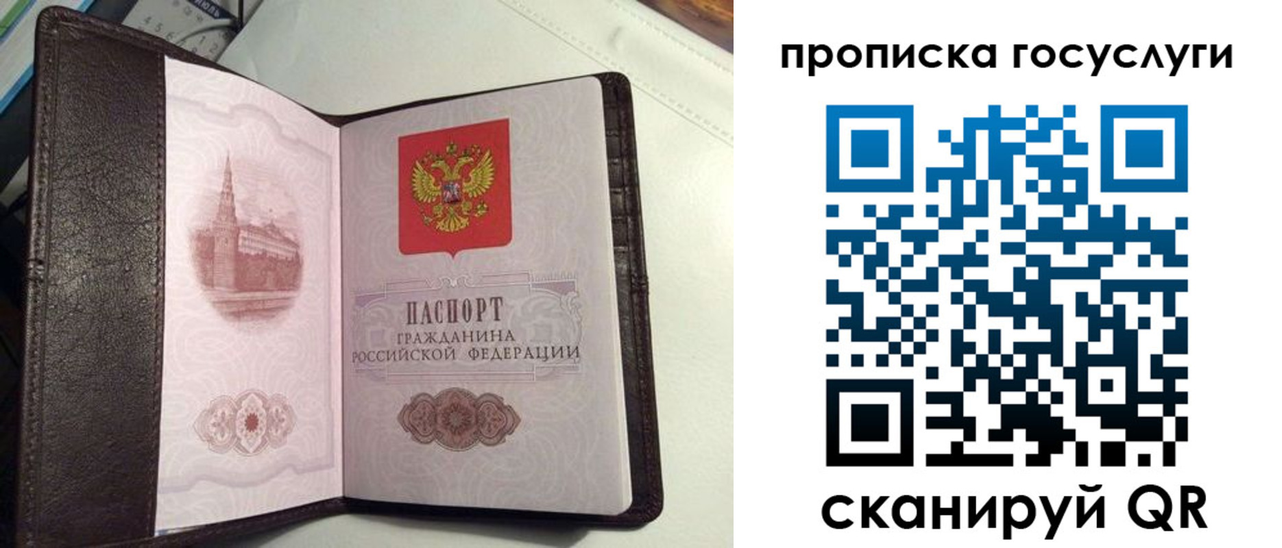 временная прописка в Скопине